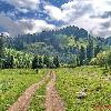 WORLD NATURE LANDSCAPES >>> ASIA >>> NORTHERN TIEN SHAN MOUNTAINS Pasture meadows and apricot orchards in the lower altitude zone  Road to the Kimaisar pass  Northern Tien Shan Mountains  Zailiysky Alatau  near Almaty  Alma Ata  and Medeo  Kazakhstan