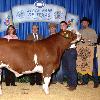 The steer sold for a record price of $85 000