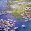 A pi� d un mese dall apertura della grande mostra  Monet e il Giappone  Il tempo delle ninfee  a Milano  � tempo per proporvi un piccolo resoconto della visita  Si tratta di un percorso