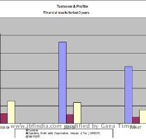 Turnover   Profits