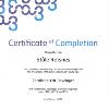 and maintain web pages unlimited to a particular software program s features  The HTML Developer Certificate proves fundamental knowledge of web development using HTML  XHTML  and CSS  HTML Developer Certificate