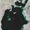 fires can also increase soil erosion and negatively impact hydrology                                                                                   Aral Sea  Kazakhstan  Uzbekistan  Diverting Rivers for Cotton Production  The name  Aral Sea  comes from the word  aral  meaning island  The sea s name reflects the fact that it is a vast basin that lies as an island among