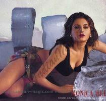 Monica Bedi Bikini   full size image at images indian magic com