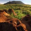 Visto de cima  um formigueiro pode parecer um mero montinho de terra Como sempre  as apar�ncias enganam  Esse v�deo mostra a incr�vel estrutura subterr�nea de um formigueiro com suas