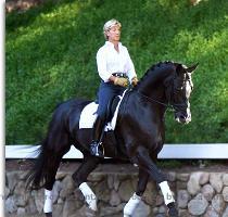 September 2008   Taison Qualifies for the 2008 USEF National Championship for Developing Horses in Kentucky  During 2008 show season Mette s goal was to qualify Taison for this event  The top 20 horses in America each year are picked to go  The test is similar to