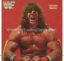 The Million Dollar Man  Ted DiBiase     The Rockers     Ultimate Warrior INFO