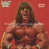 The Million Dollar Man  Ted DiBiase     The Rockers     Ultimate Warrior INFO