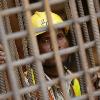 Reuters Pictures 3 months ago A Delhi Metro Rail Corporation employee looks through iron rods at the final tunnelling