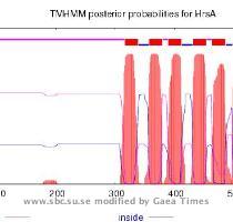 520 HrsA outside 521 550 HrsA TMhelix 551 568 HrsA inside 569 574 HrsA TMhelix 575 597 HrsA outside 598 616 HrsA TMhelix 617 639 HrsA inside 640 658 script for making the plot in gnuplot  data for plot