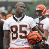 Bengals Ochocinco Running His Mouth About the Team Making the Postseason Friday  June 19th  2009 While most Steelers fans will admit that the Ravens are by far the biggest competition the team will face in the AFC North  there s another team that is for whatever reason starting to talk a