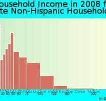 Hispanic or Latino race householders  $44 498