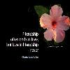 glitter graphics  images and pictures  Friendship Quotes Copy and Paste the code below in your Orkut Scrap Profile Or Website