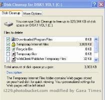 As the file is playing repeat Step 1  i e Disk Cleanup   But this time don t clear the cache but click on the View Files option   This will open a directory of Internet Cache folders as seen below