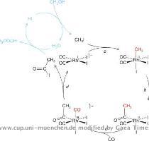 mit einem weiteren Cyclus vernetzt ist  bei dem Methanol und Iodwasserstoff zu Iodmethan und Wasser reagieren  sp�ter dann wird Acetyliodid zu Essigs�ure und Iodwasserstoff hydrolysiert  Der hervorgehobene Cyclus beginnt mit einem Komplex  dessen Aufbau den weiter oben genannten Regeln folgt  Im Dicarbonyl diiodido rhodat I  ergibt sich f�r das Metall eine d8