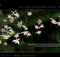 makes sense  considering this is a fast growing segment outside India   all thanks to anti oxidants or something  according to fatties who probably just need an excuse for their cocoa fix  Now  here s the teeny problem I seem to have  The microsite dedicated to the product is great   it re introduces the product well  answers all questions  and showcases the benefits of dark