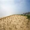 FILE   In this May 15  2009 file photo  a sand dune is planted with beach grasses to prevent erosion next to an exclusive oceanfront home in East Hampton  N Y  Last year s economic