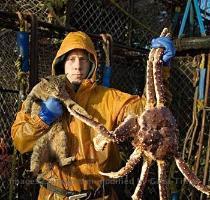 << Prev Next >> DEADLIEST CATCH