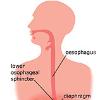 Heartburn Heartburn is a burning sensation in the chest that can extend to the neck  throat  and face  it is worsened by bending or lying down  It is the primary symptom of