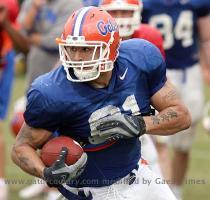 Aaron Hernandez should be the best tight end in the SEC this season Gator Country Photo by Tim CAsey Last year the Southeastern Conference had the two best freshman wide receivers in