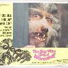 1964 hard plastic BLOOD RED  ZOO PIKS  unused   MINT  20 00 THE WOLFMAN  Spoon 1964 hard plastic Graveyard Gray  ZOO PIKS  unused   MINT  20 00 Lobby card  2 from THE BOY WHO CRIED WEREWOLF   1973 Universal Pictures  starring Kerwin Mathews  Nice closeup shot of the Werewolf s face  No holes  Near mint  15 00