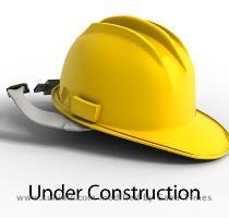 YOUTH   CULTURAL AFFAIRS