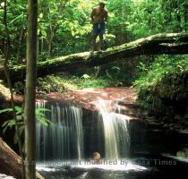 Brazil  http   www lib utexas edu maps americas brazil veg 1977 jpg http   www nomadom net images brazil amazon Brazil 20Amazon JPG http   www circlinghawk com o 123 jpg