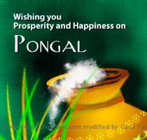 Pongal   Tamil New Year 2010 wish your friends by sending greetings and wallpapers   Download popular festival Kolam designs which    0 comments