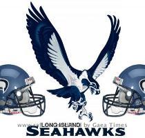 RAFL BREAKING NEWS Long Island Seahawks make it a wrap New York  NY  Today the RAFL added what President Charles McGill stated is  The final team entry for 2008 unless we add a full affiliate league or division with a pre existing schedule