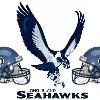 RAFL BREAKING NEWS Long Island Seahawks make it a wrap New York  NY  Today the RAFL added what President Charles McGill stated is  The final team entry for 2008 unless we add a full affiliate league or division with a pre existing schedule