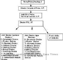 trainees in various Police   Judicial and other related institutions  Organisational Structure Tree Total staff sanctioned including field units  507 Present activities