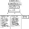 trainees in various Police   Judicial and other related institutions  Organisational Structure Tree Total staff sanctioned including field units  507 Present activities