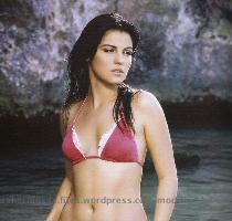 Here s another Latin Hottie  Maite Perroni